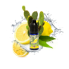 Big Mouth - Lemon Cactus Retro Juice concentrate