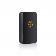 Dotmod - DotBox 220W