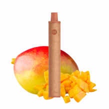Dotmod - Pod Jetable Dot E-series Mango