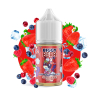 Biggy Bear - Fruits Rouges Givrés Concentré 30ml