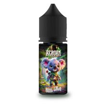 Reborn Animal - Mr DJambo