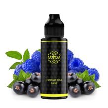 Dotmod Juice - Framboise bleue cassis 50/50 100ml